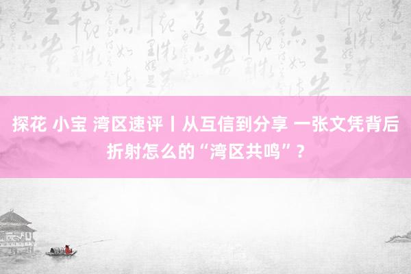 探花 小宝 湾区速评丨从互信到分享 一张文凭背后折射怎么的“湾区共鸣”？