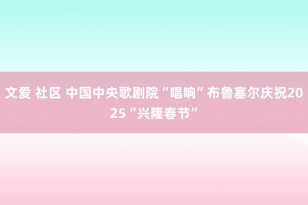 文爱 社区 中国中央歌剧院“唱响”布鲁塞尔庆祝2025“兴隆春节”