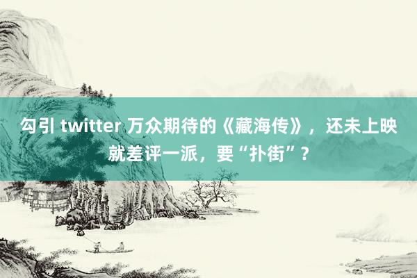 勾引 twitter 万众期待的《藏海传》，还未上映就差评一派，要“扑街”？