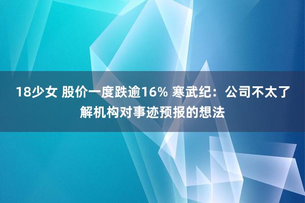 18少女 股价一度跌逾16% 寒武纪：公司不太了解机构对事迹预报的想法