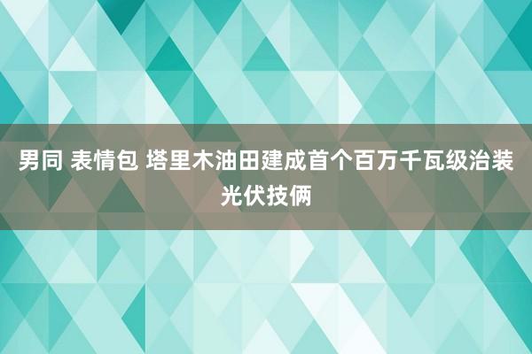 男同 表情包 塔里木油田建成首个百万千瓦级治装光伏技俩