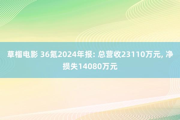 草榴电影 36氪2024年报: 总营收23110万元， 净损失14080万元